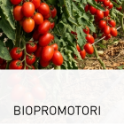 BIOPROMOTORI