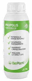 Propolis