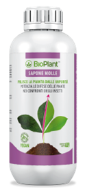 Sapone molle