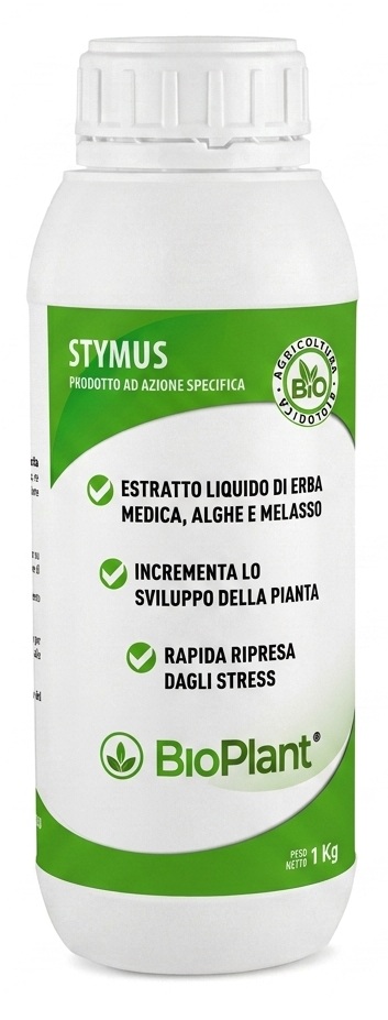 Stynus