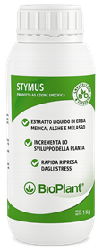 Stymus