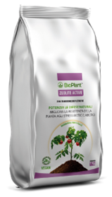 Zeolite Active